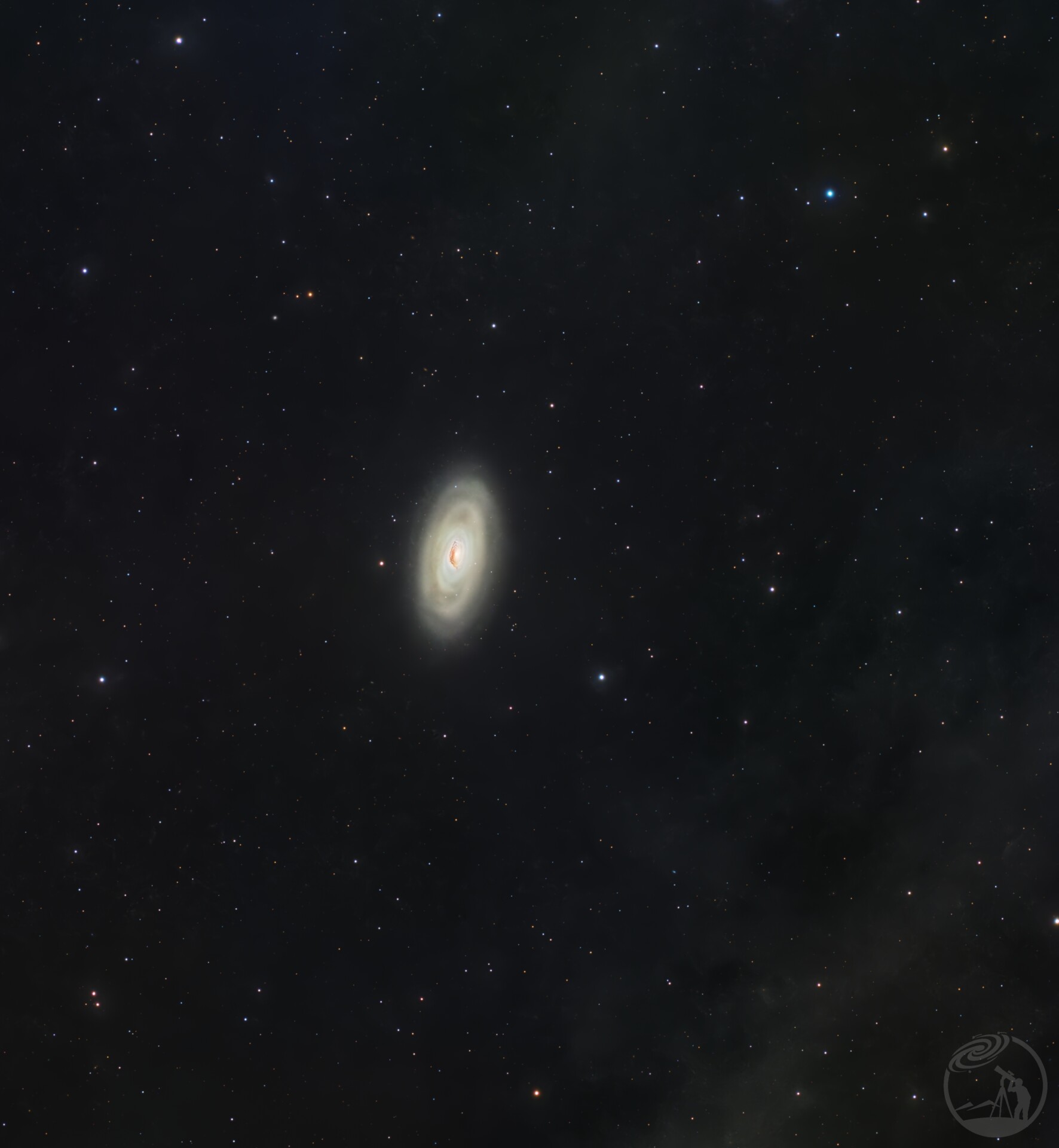 M64