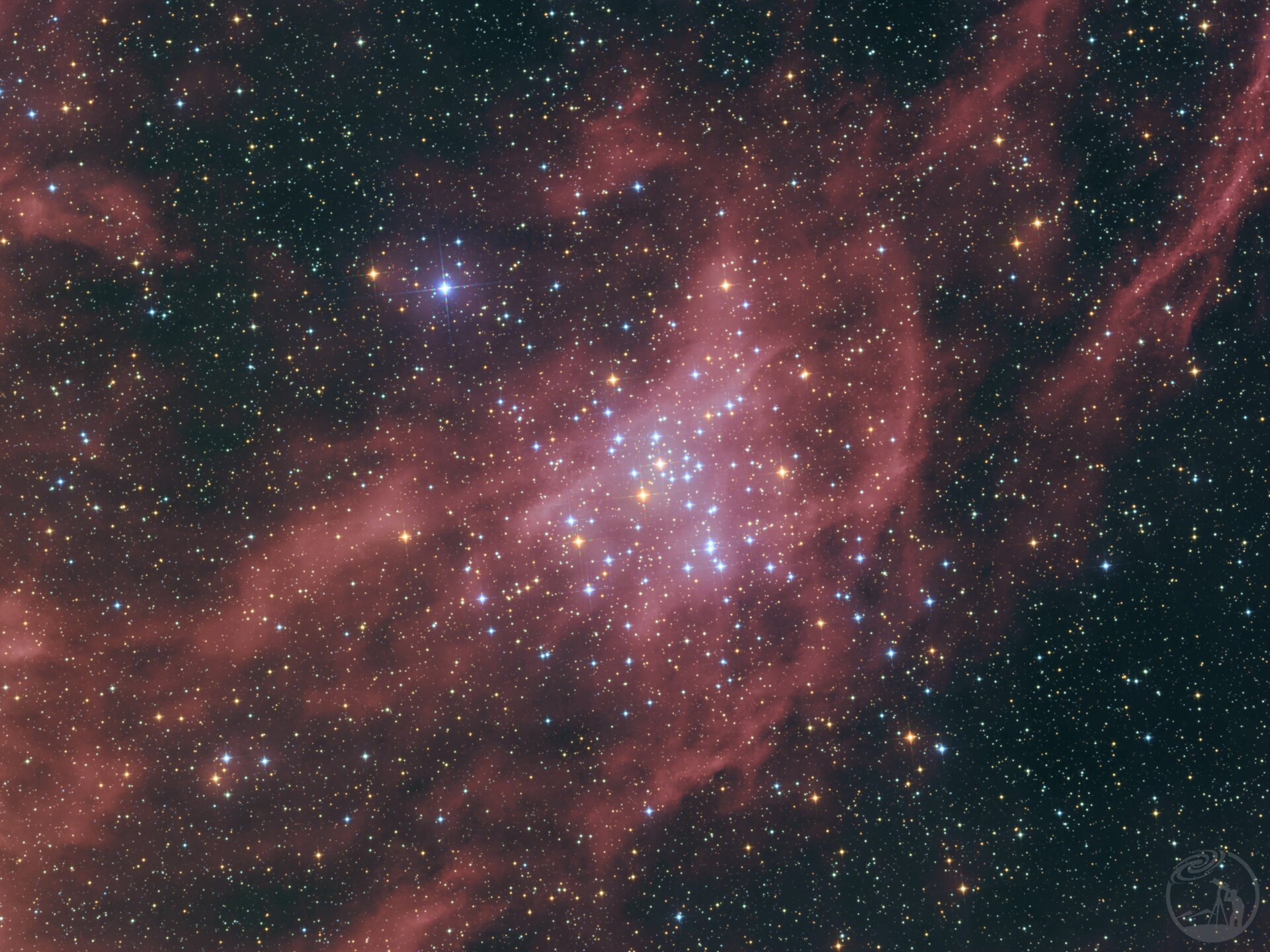 M41 小蜂巢星团