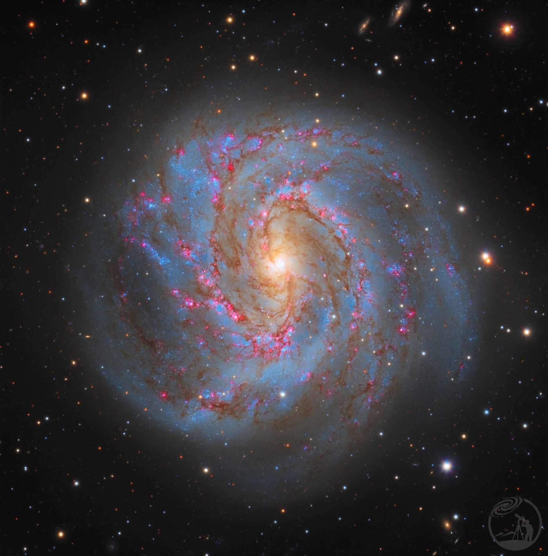 M83