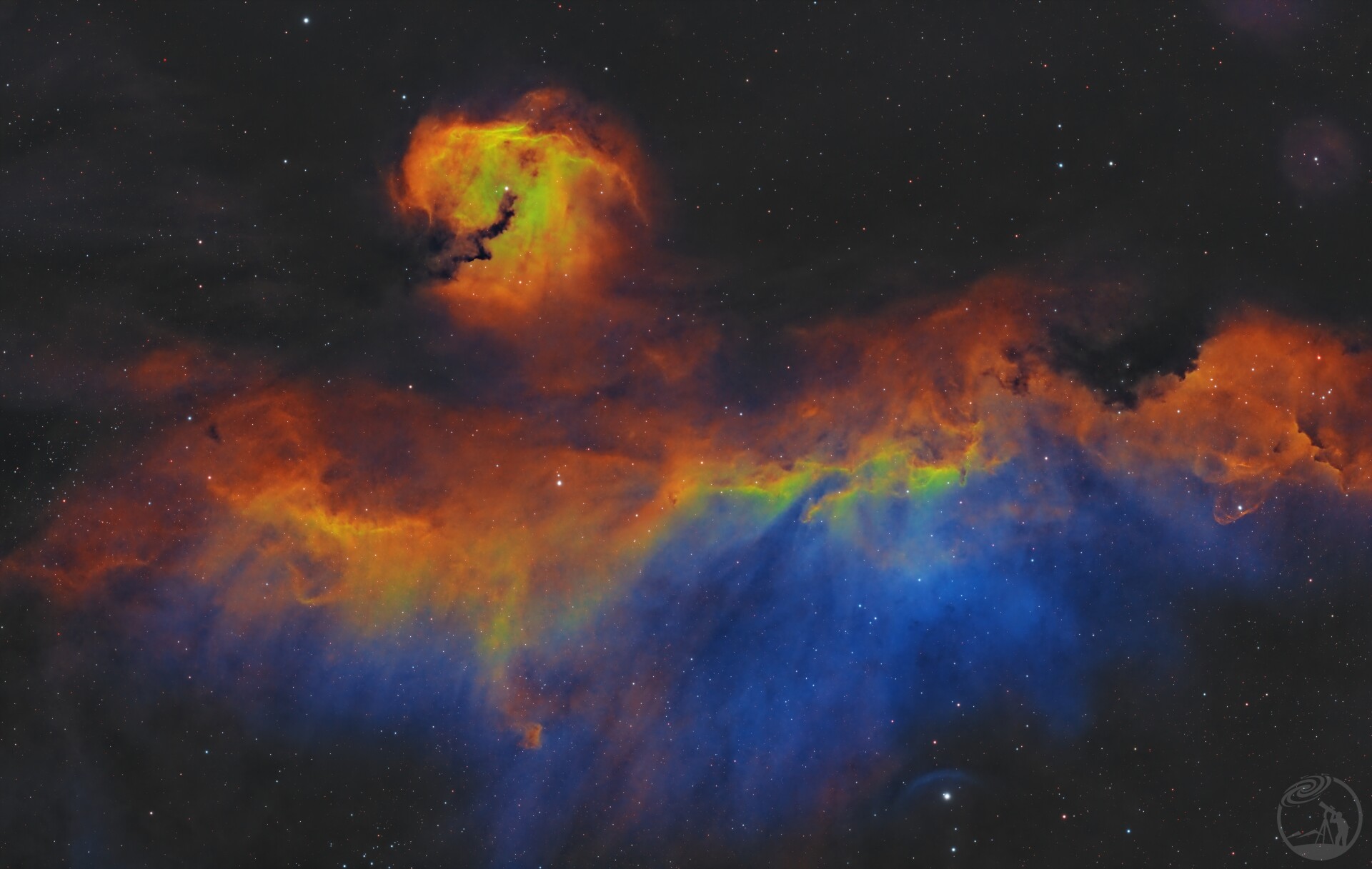 海鸥星云