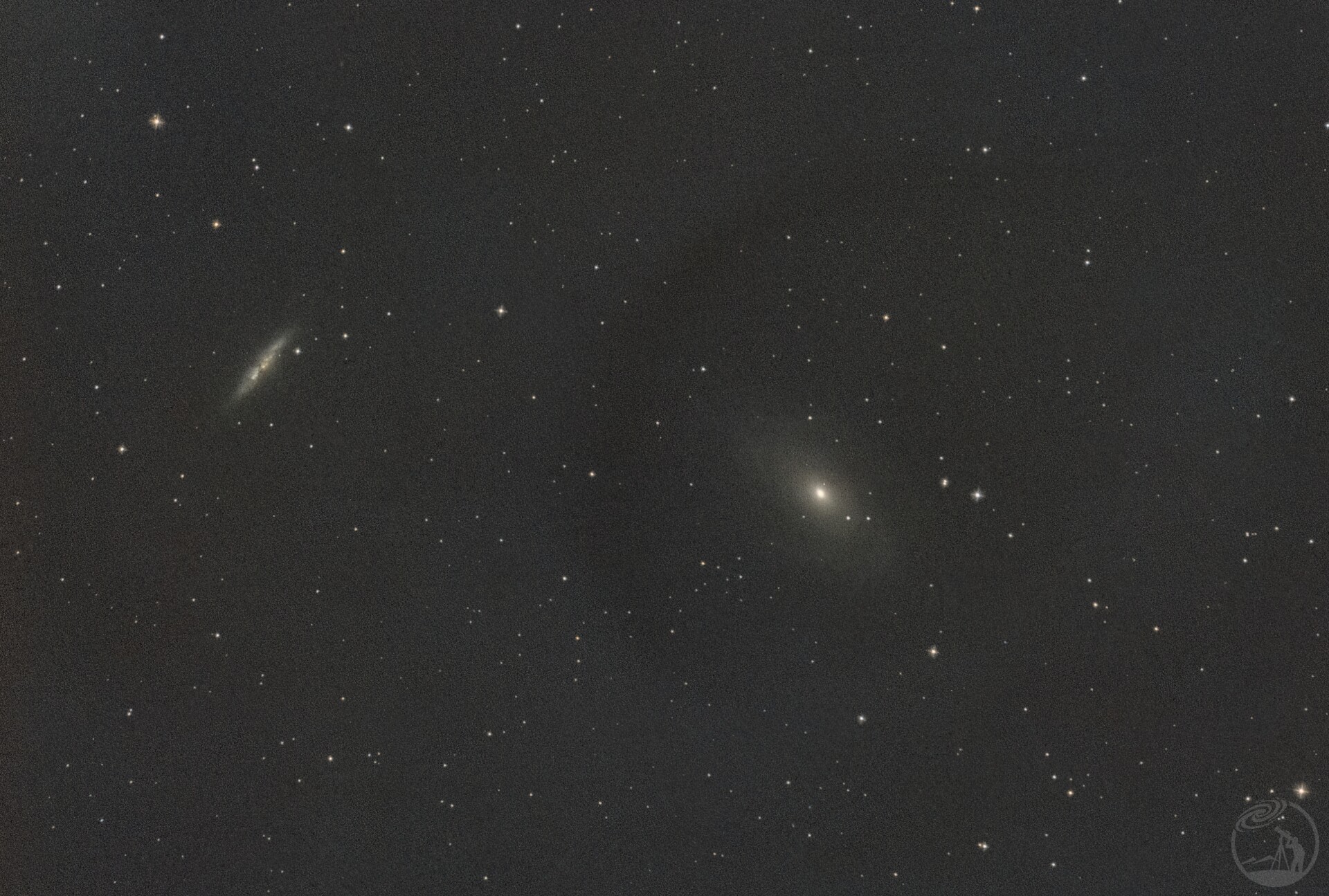 m81/m82