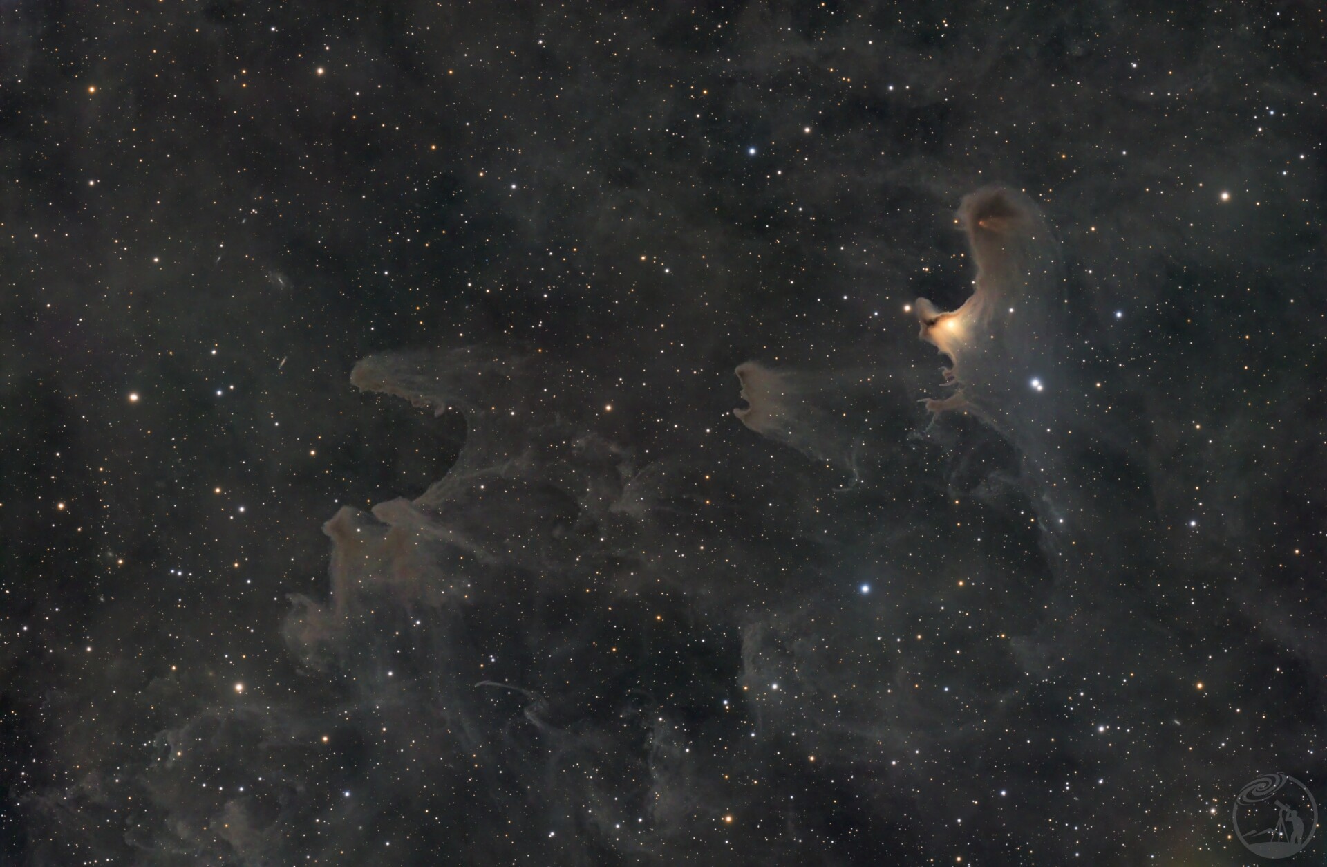 VDB141