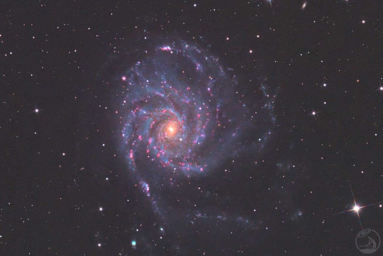 M101-红花郎