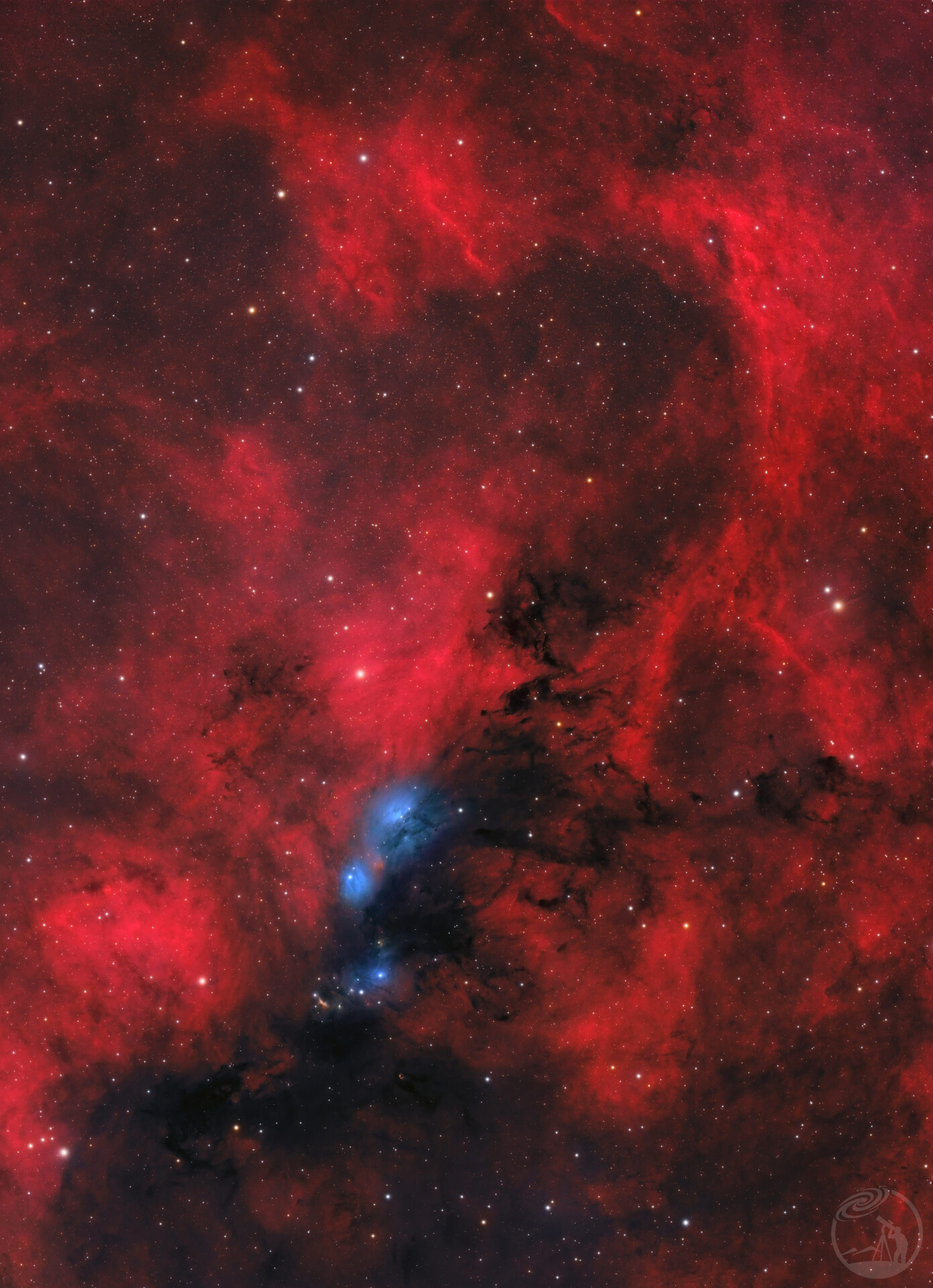 NGC 6914