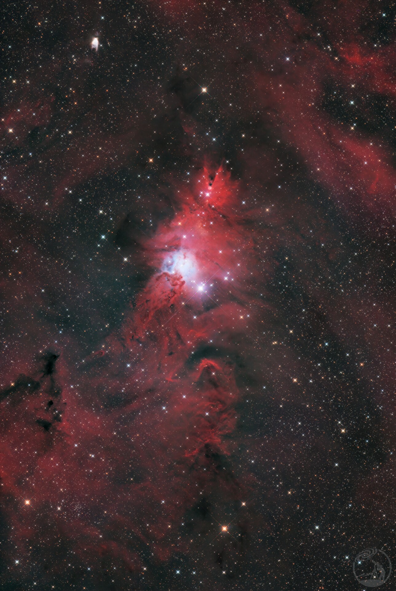 ngc2264 圣诞树