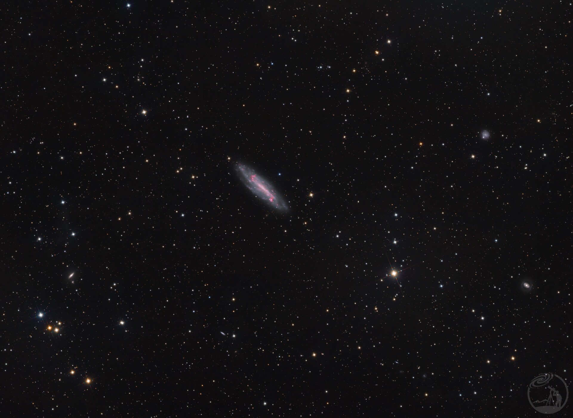 NGC4236