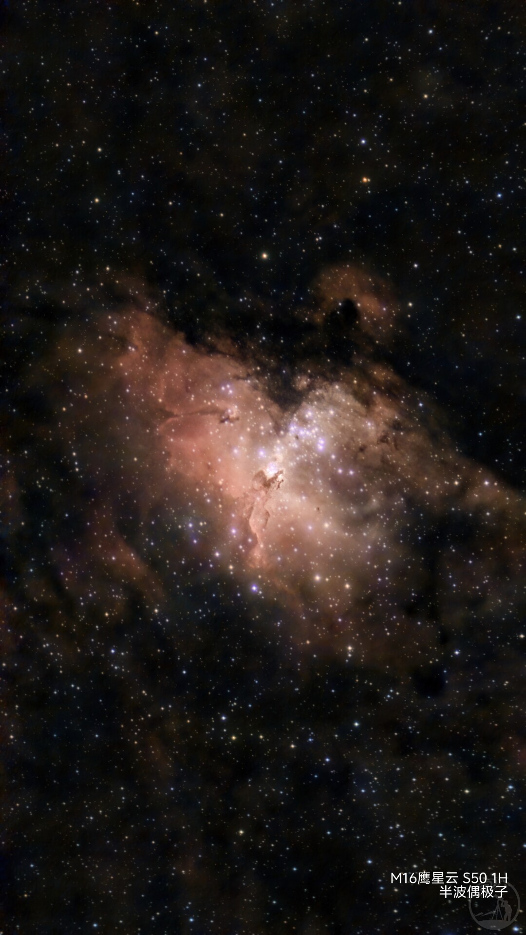 m16鹰星云 振旺s50打野