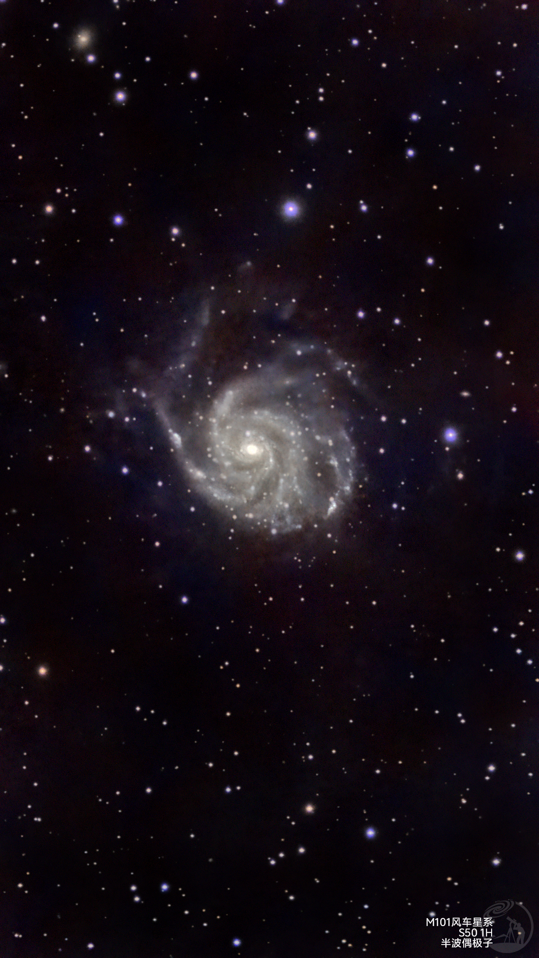 m101风车星系 振旺s50打野