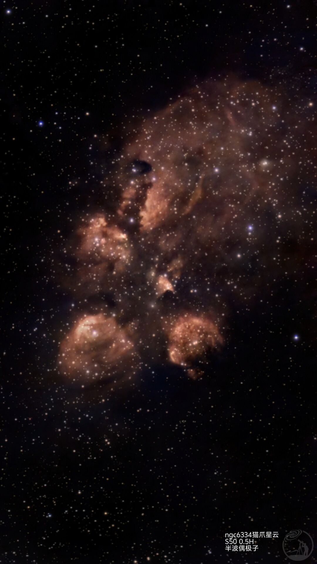 猫爪星云 s50打野