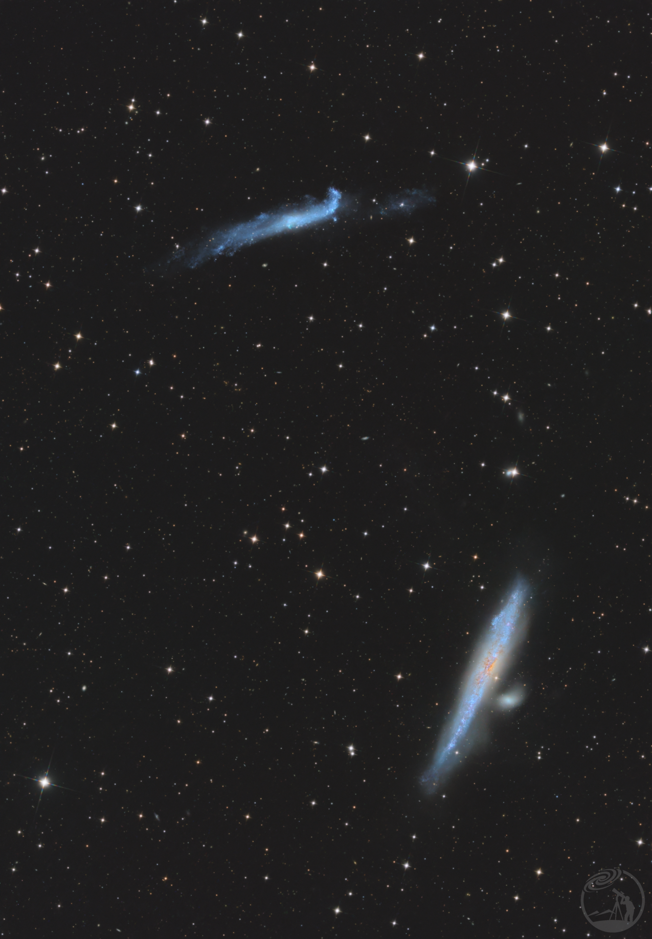ngc4631 鲸鱼星系 & ngc4656 曲棍球星系