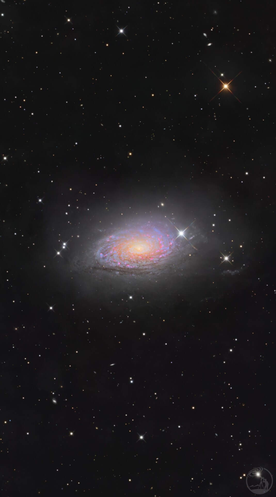 m63