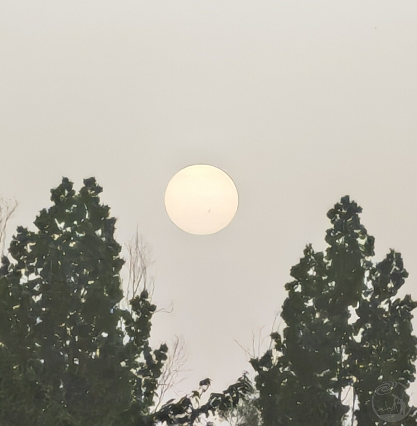 太阳黑子