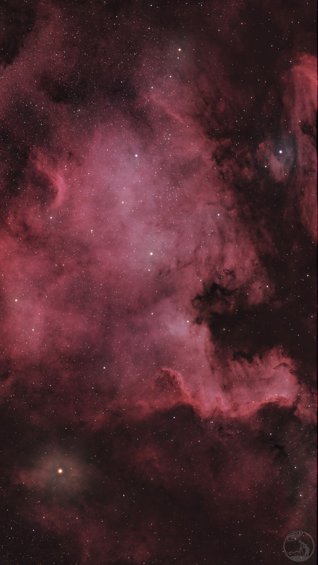 北美洲星云-NGC7000