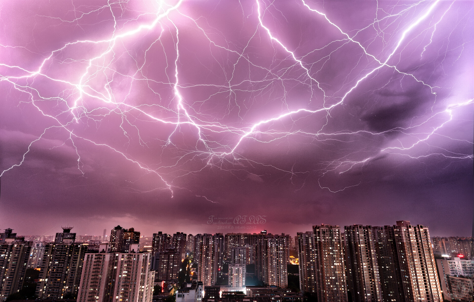 紫色雷霆