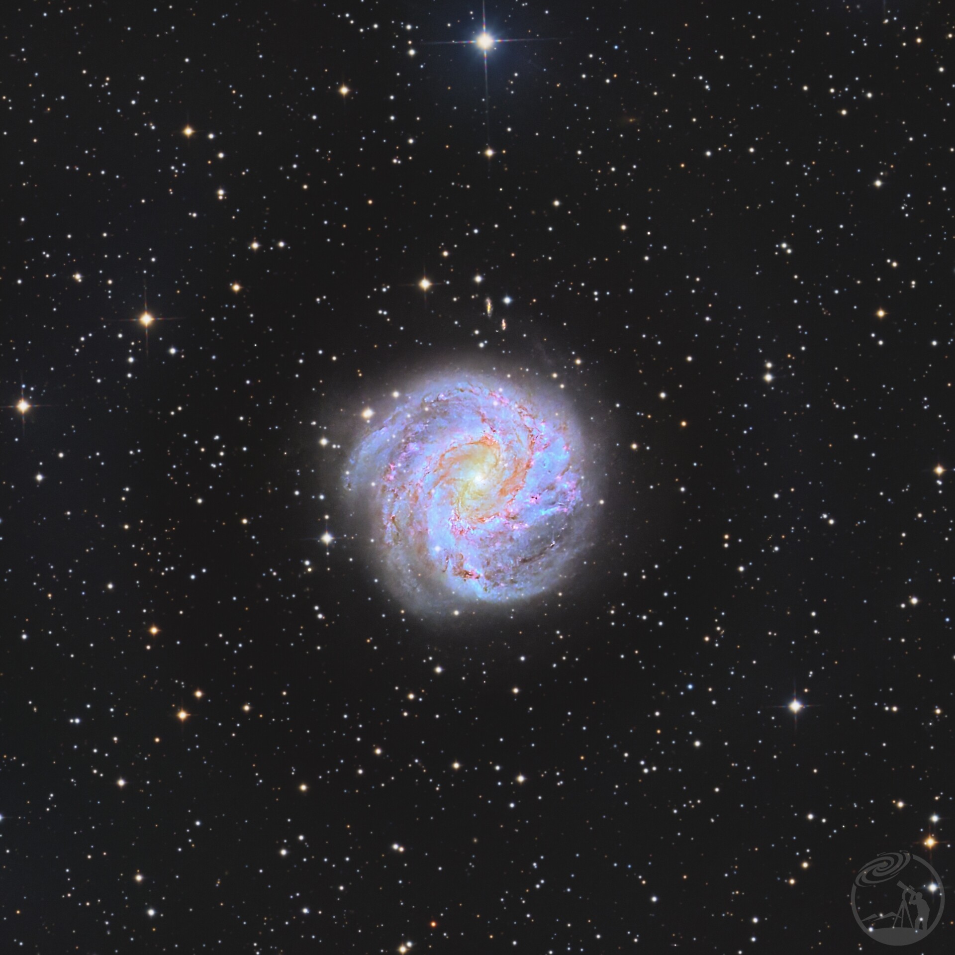 M83南风车星系