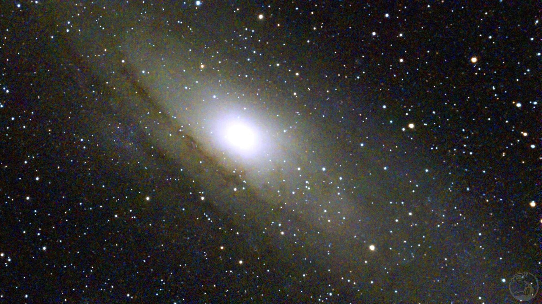 m31