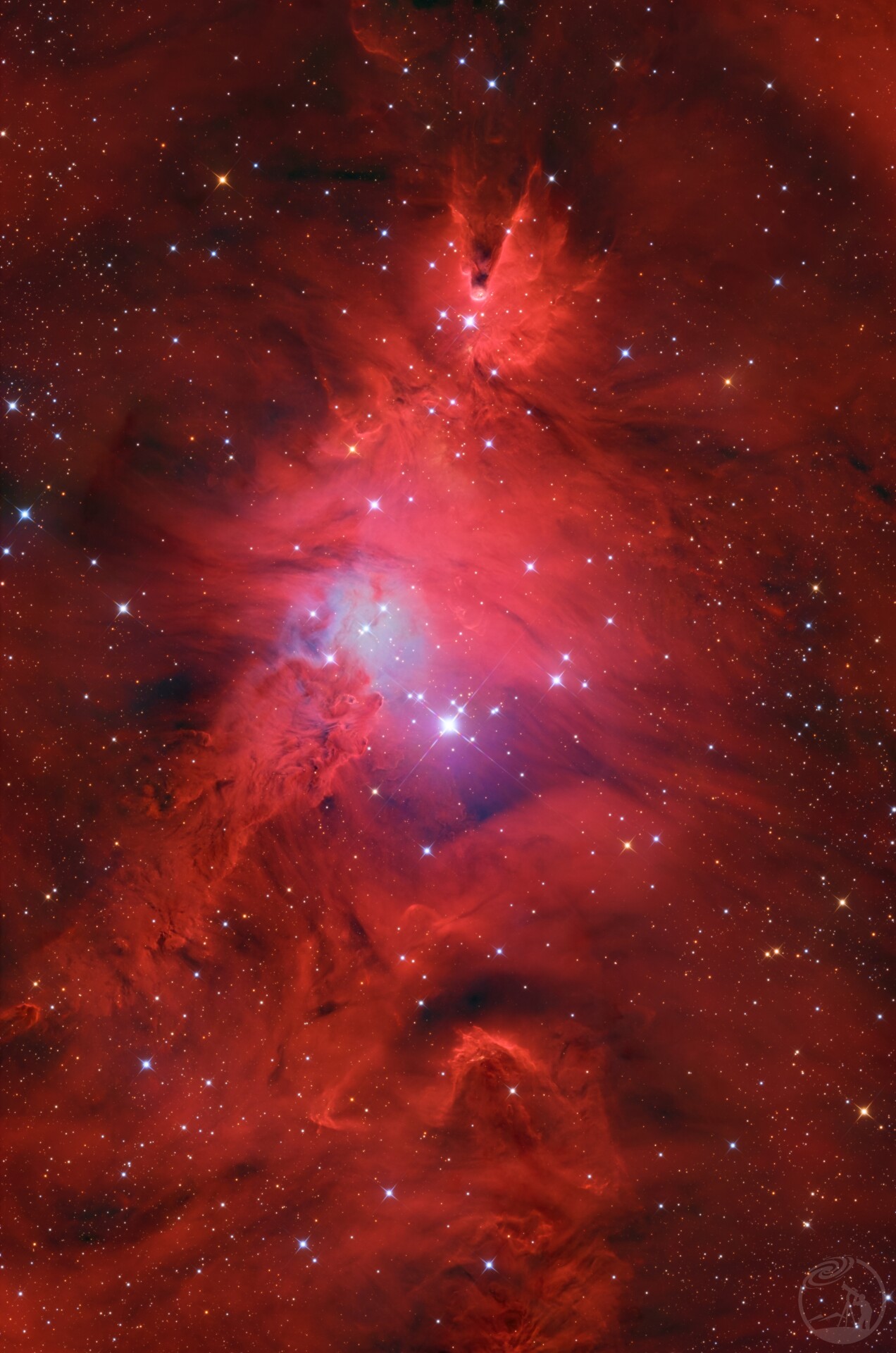 NGC2264