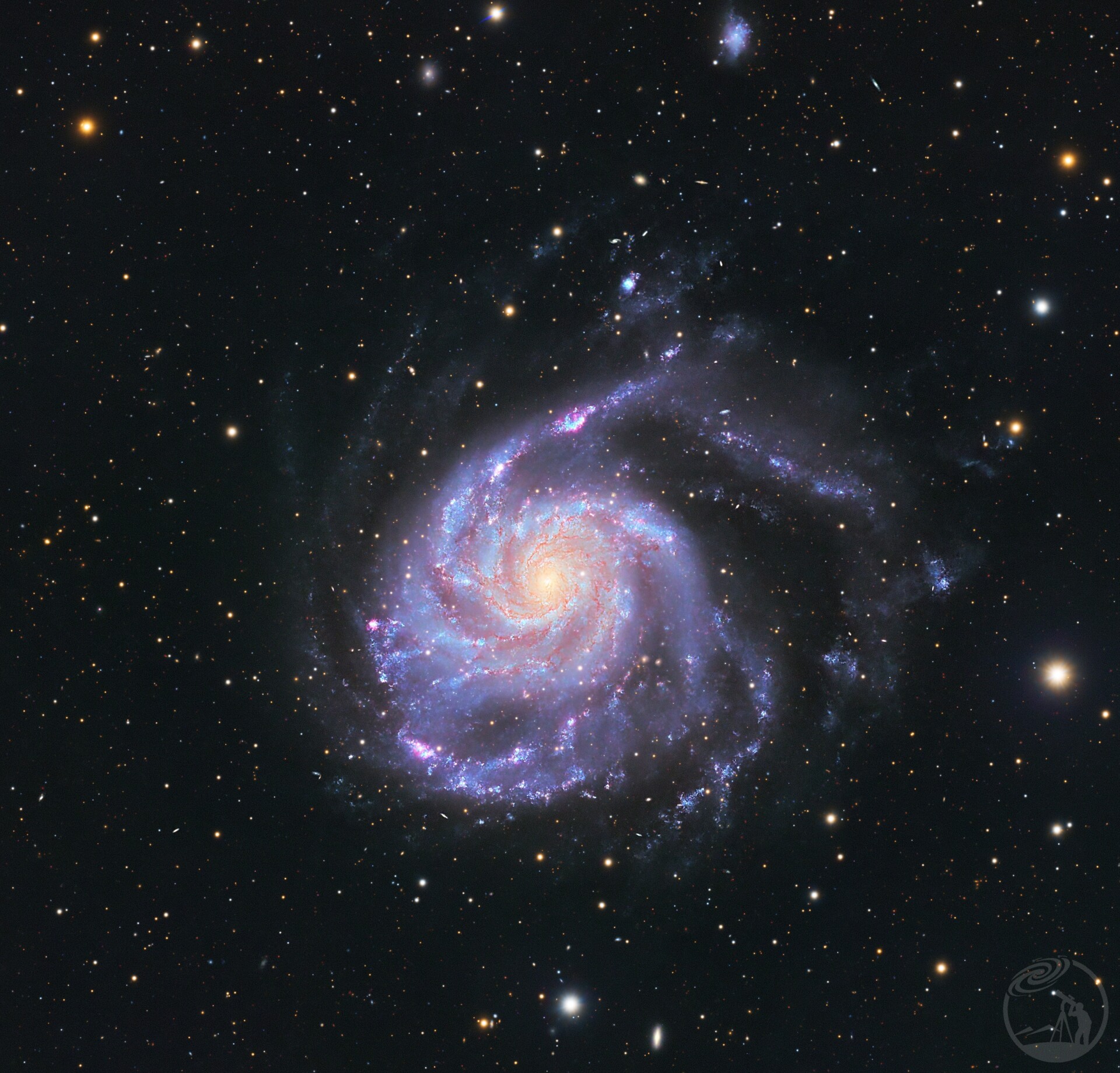 M101＋小红🌸