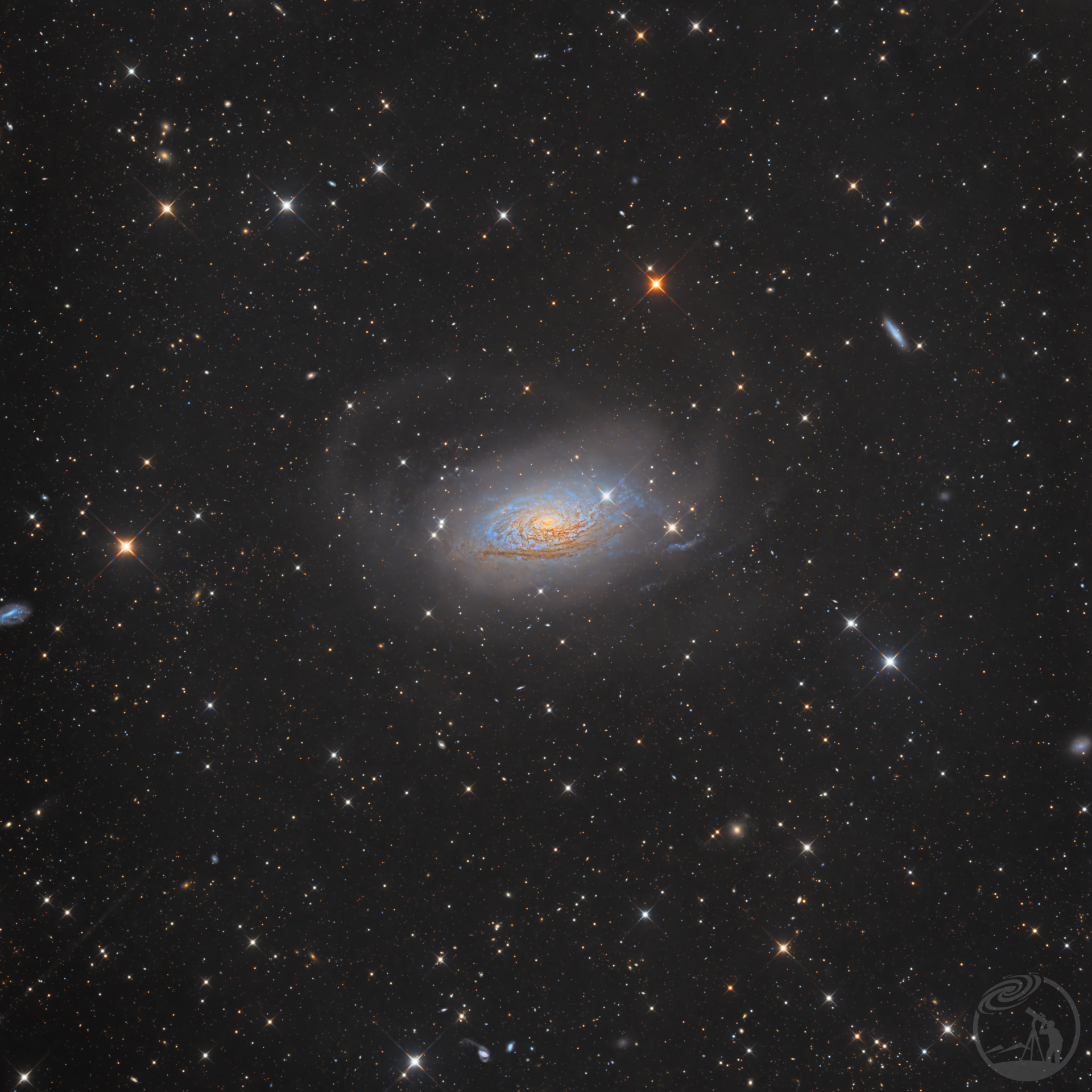 M63向日葵星系🌻