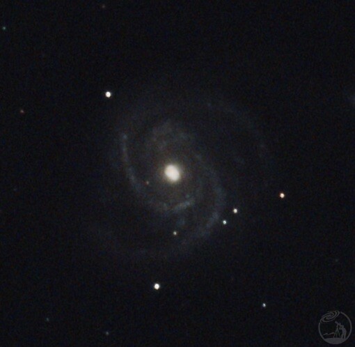 M100