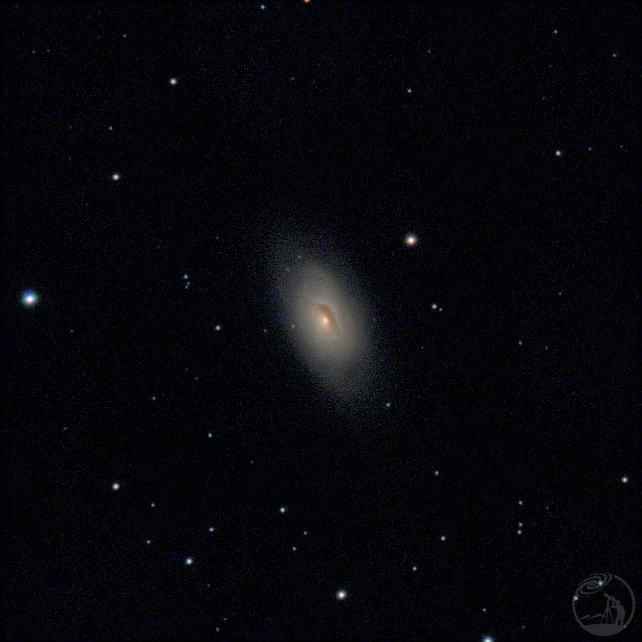 M64