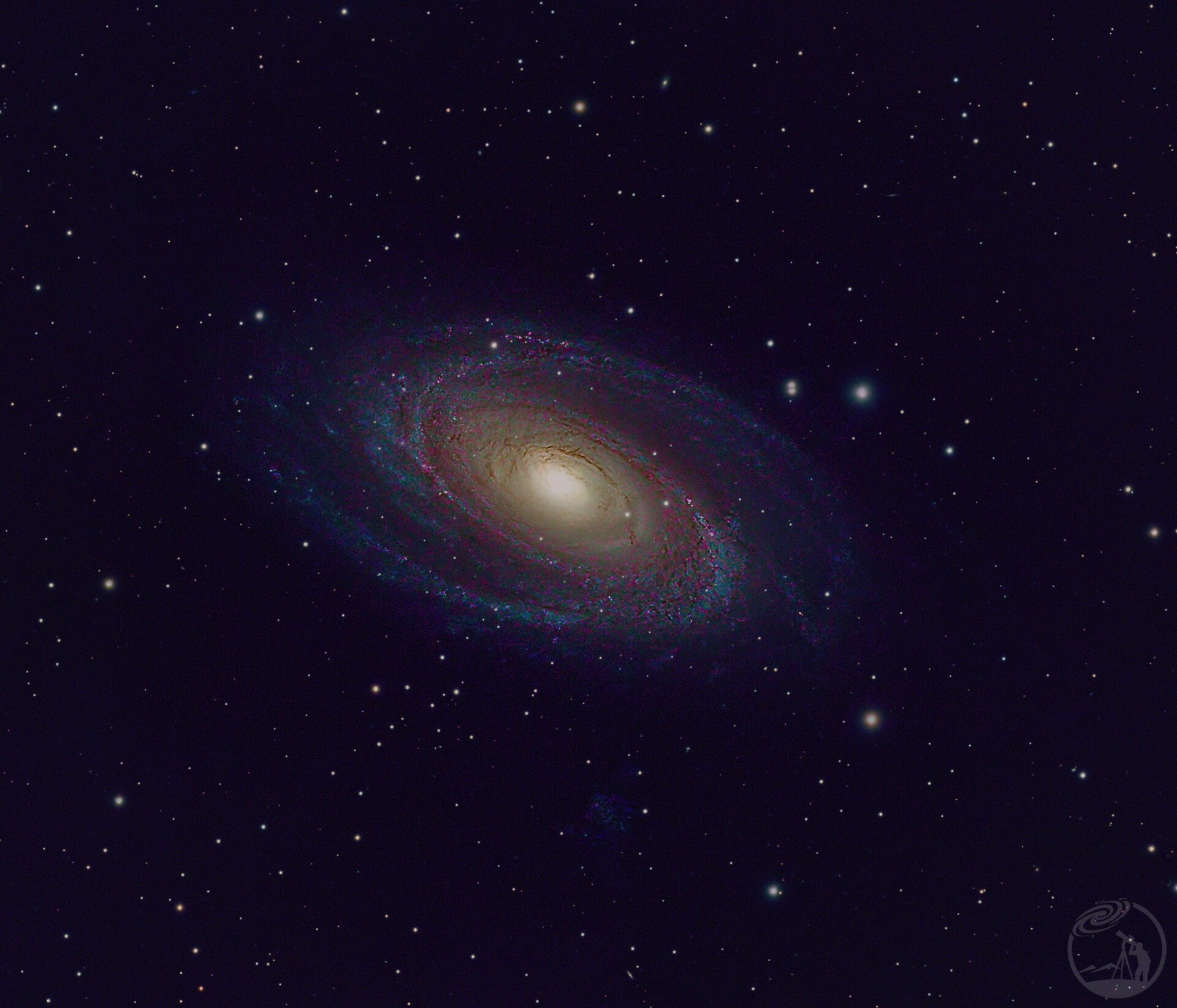 M81