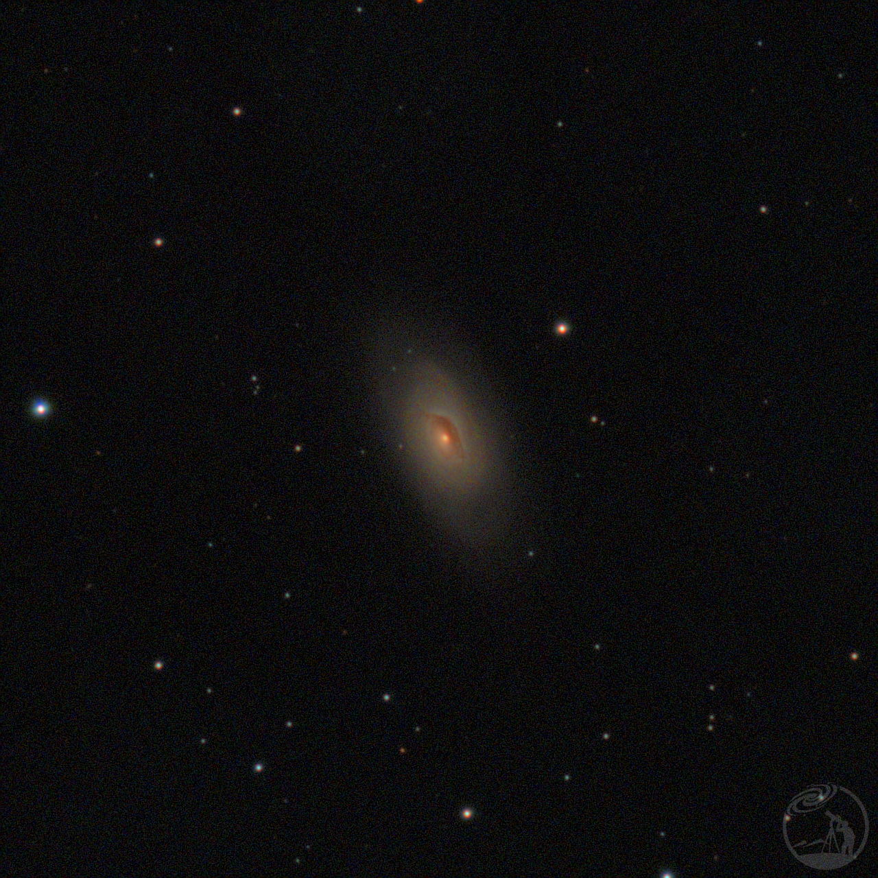 M64