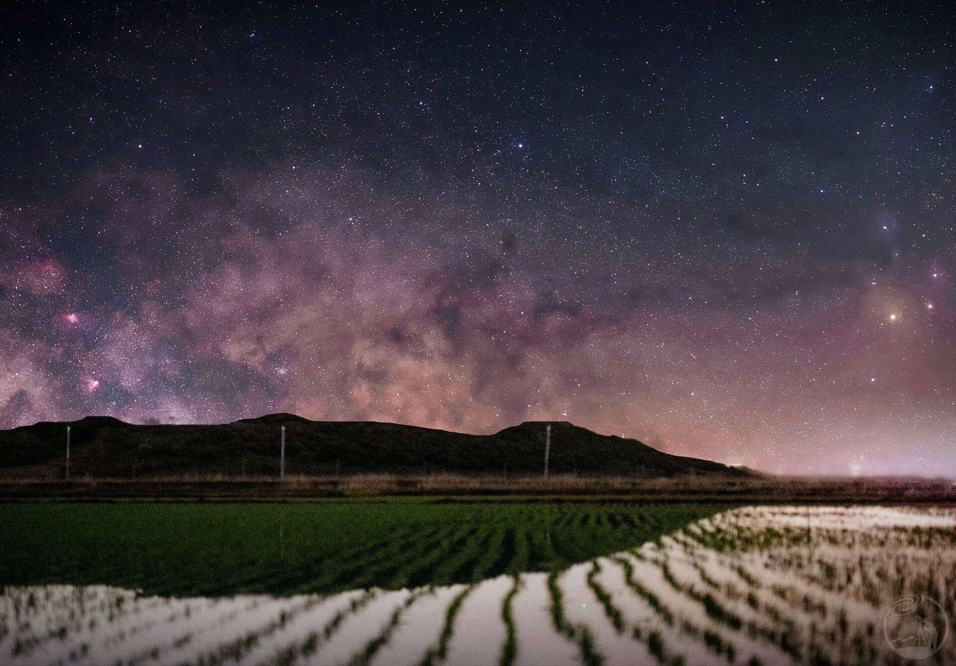 稻田星空物语