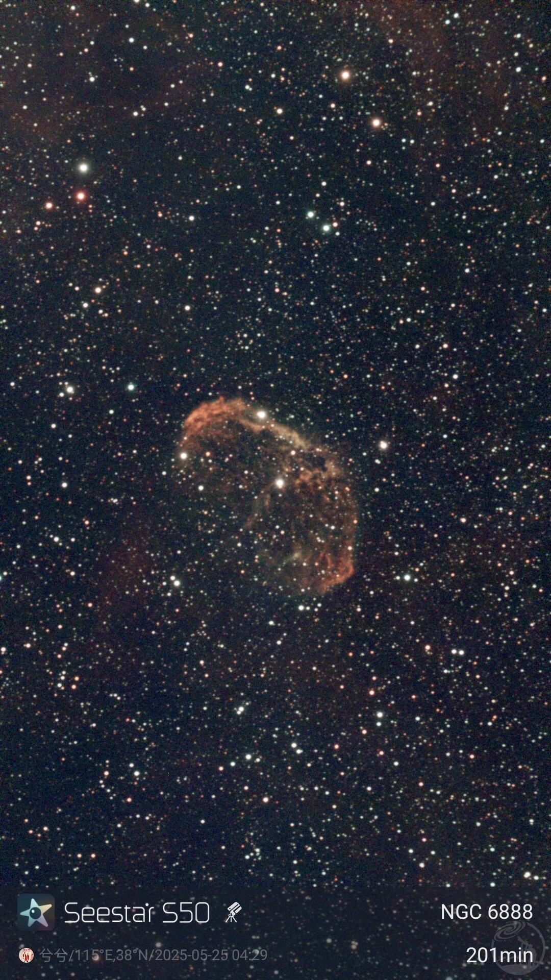 脑花星云