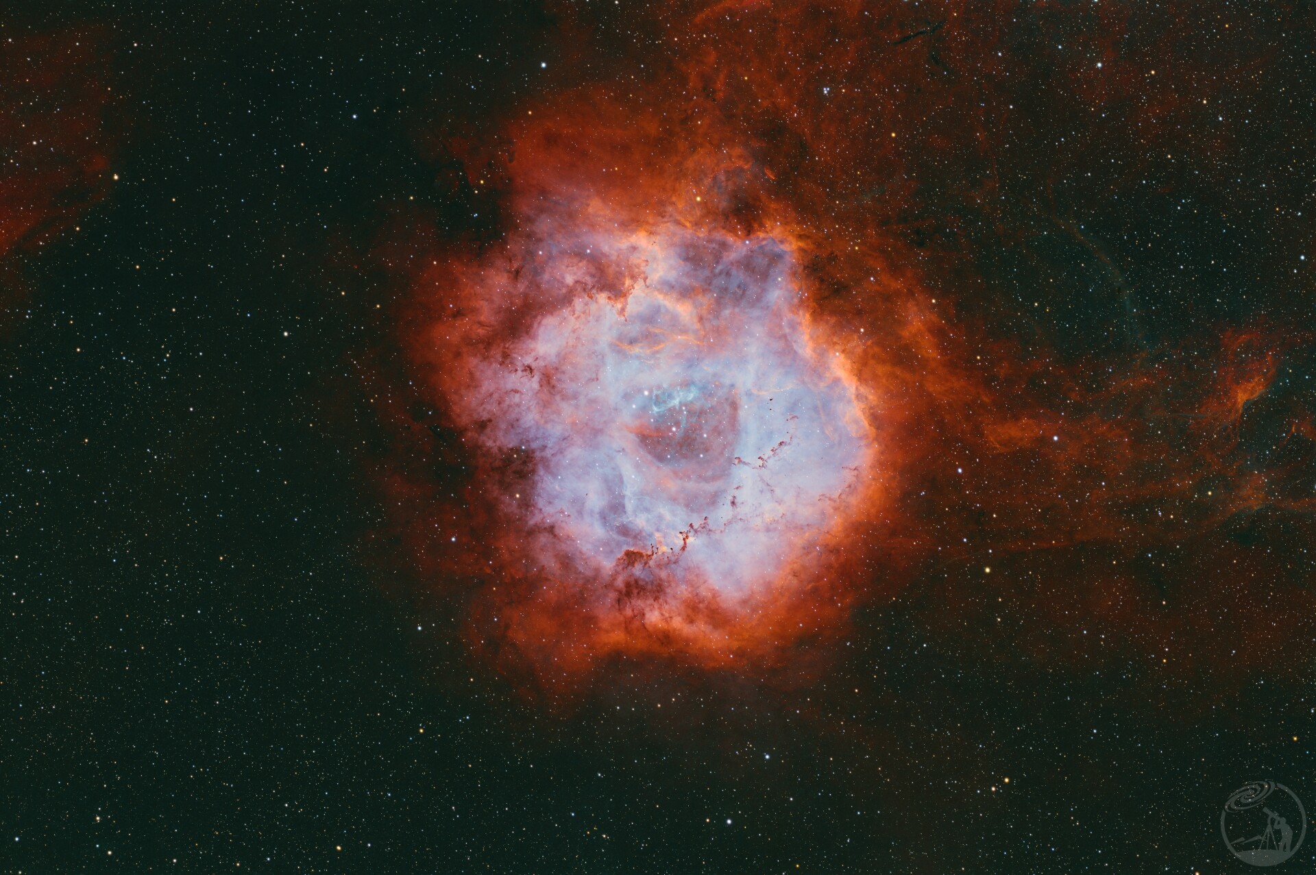 玫瑰星云sho