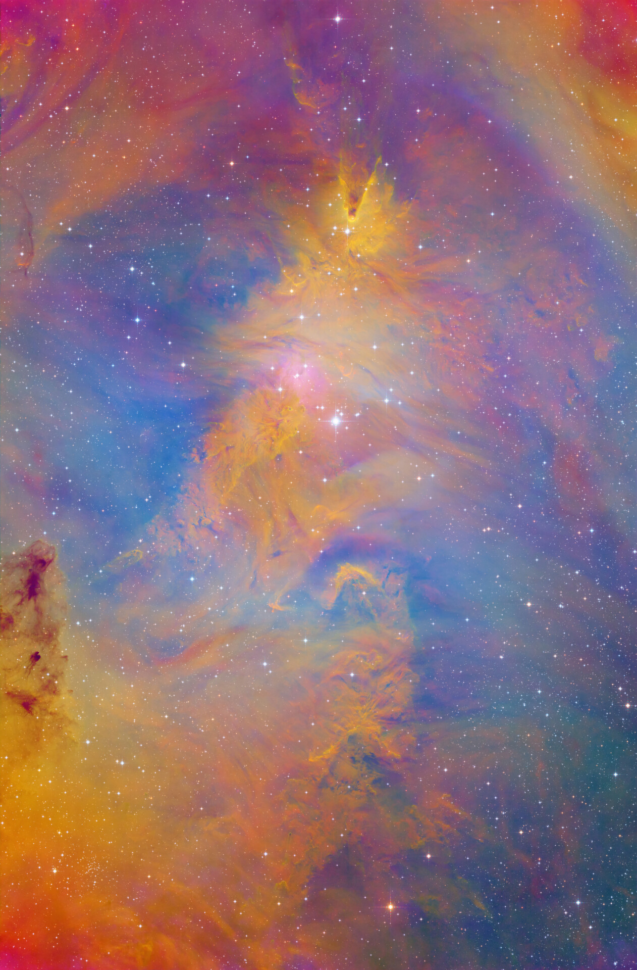 圣诞树🎄NGC2264