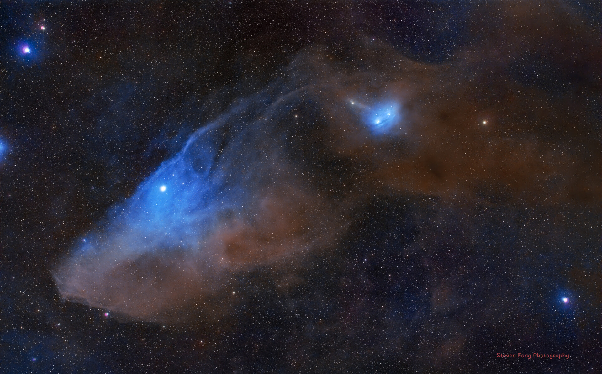 心心念很多年的蓝马头终于拍成了