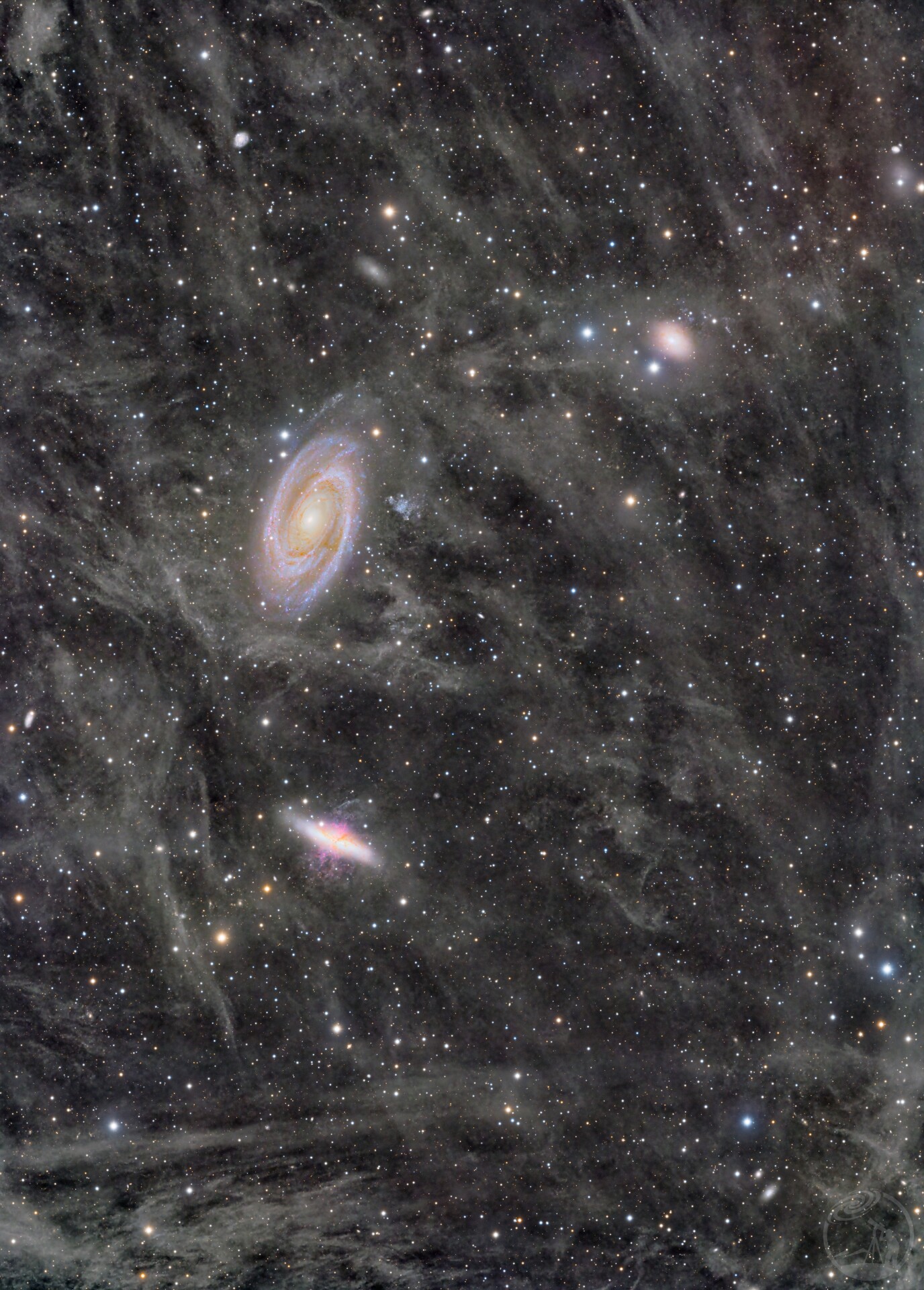 m81＋m82广域