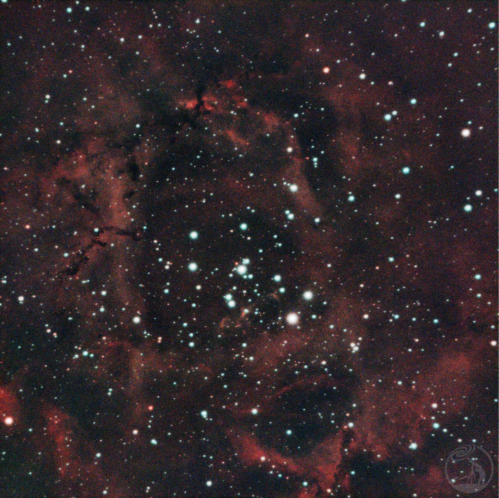 SH2-275玫瑰星云