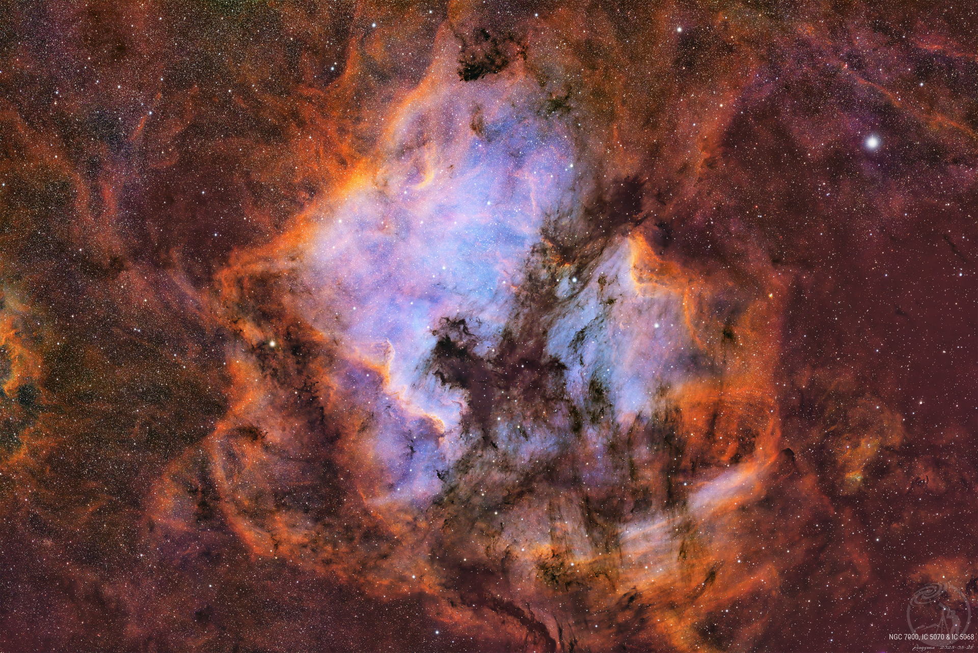 NGC 7000 & IC 5070 SHO