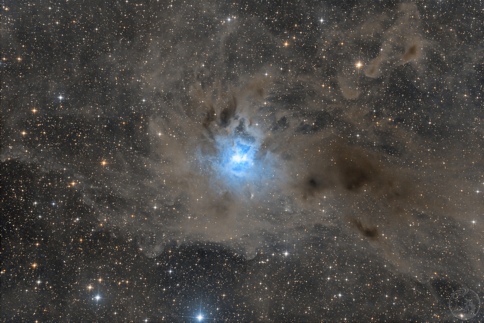 NGC 7023-鸢尾花星云