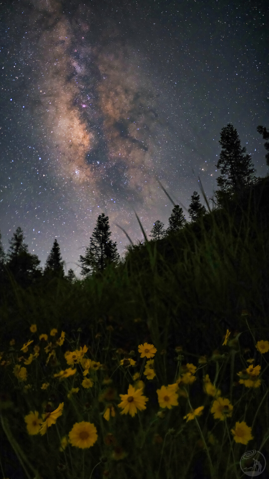 花语星河