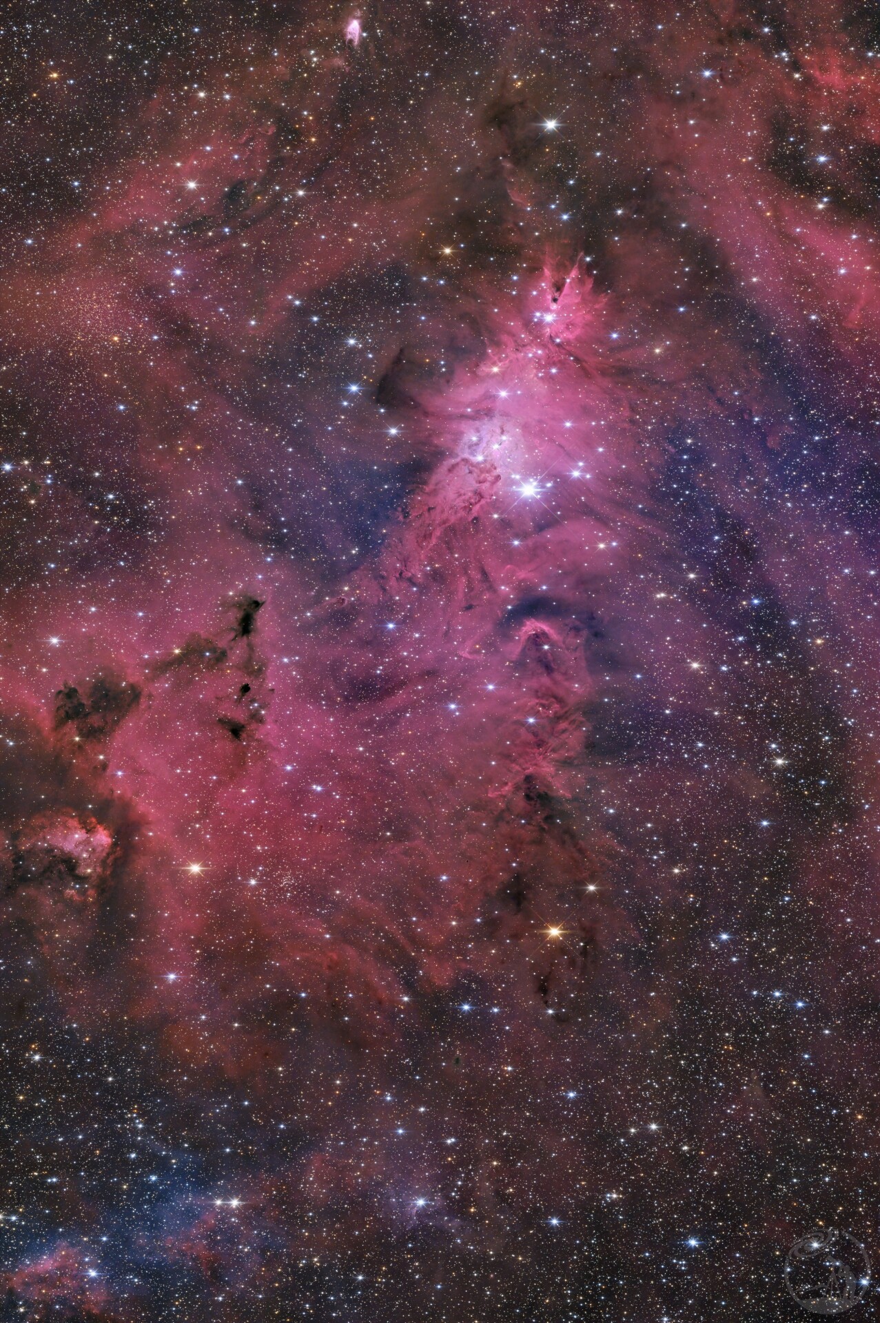NGC2264 圣诞树星团
