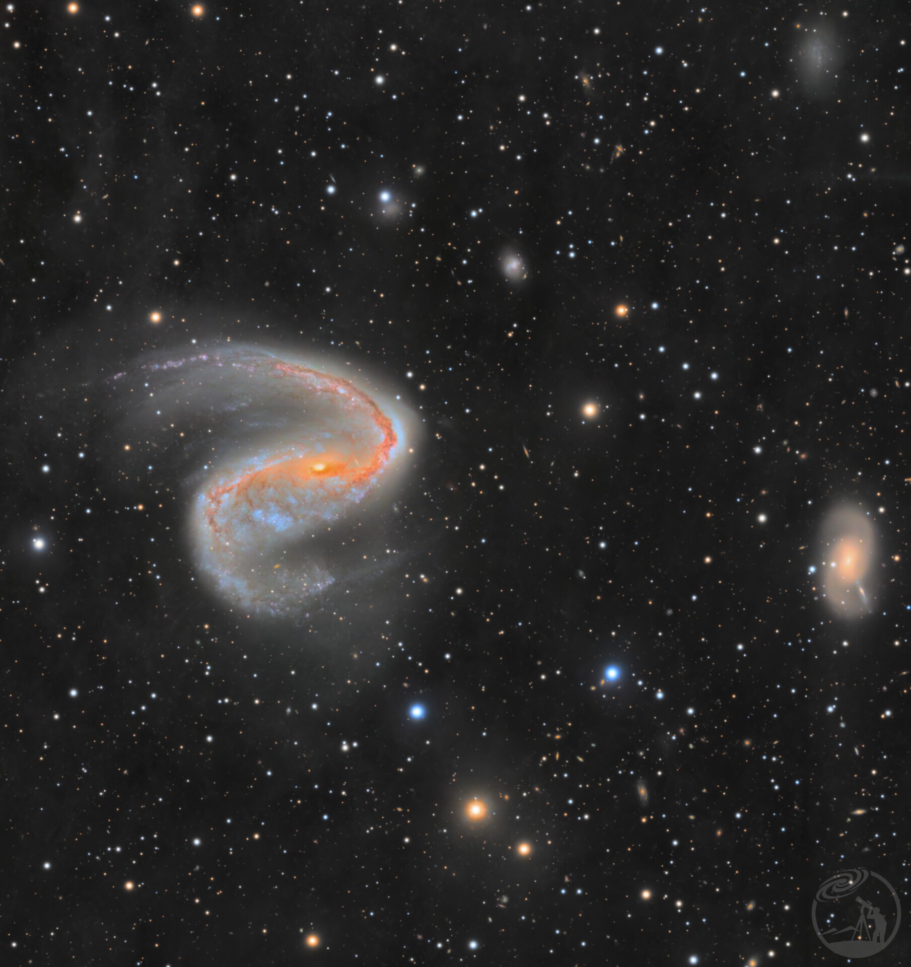 NGC2442 Cobra Galaxy