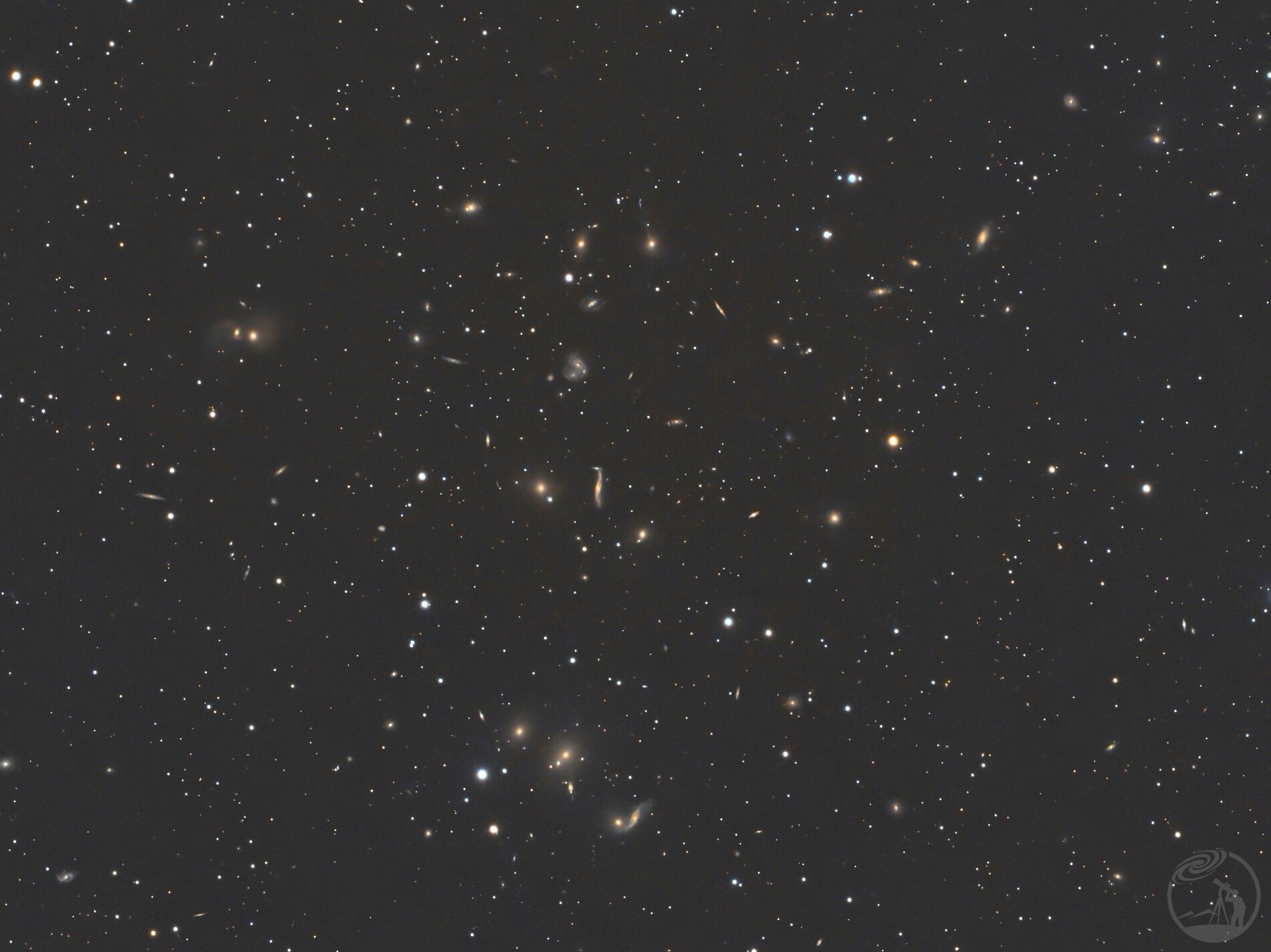 武仙座星系团