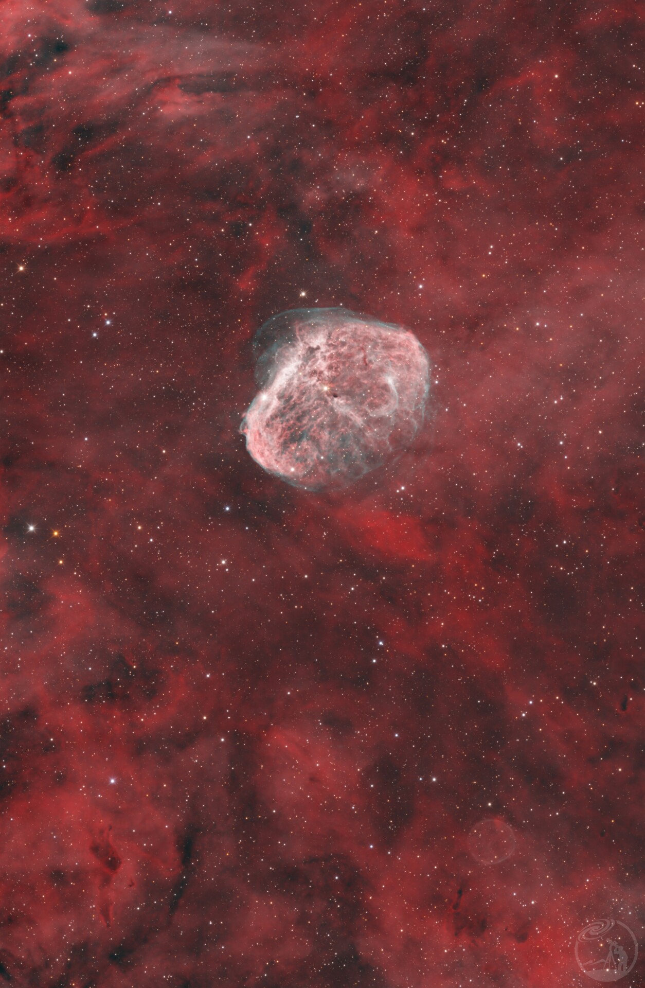 NGC6888 FLOATING BRAIN