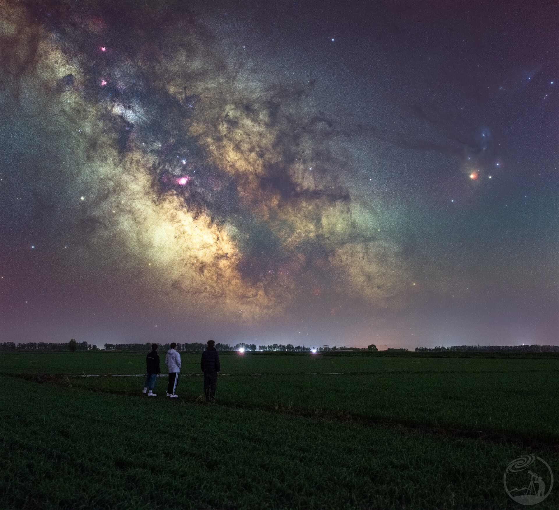 星空下的稻田