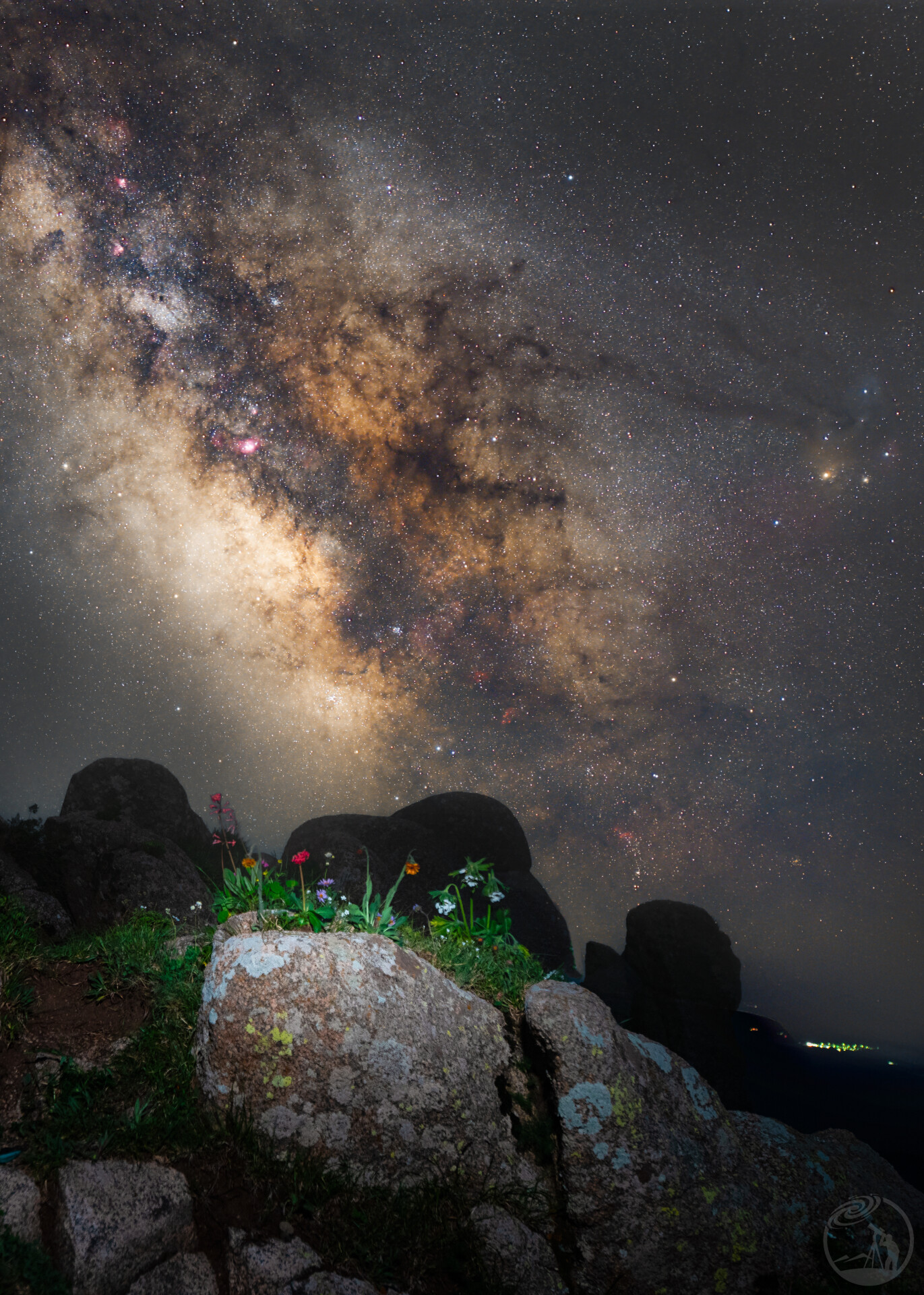 繁花映星河