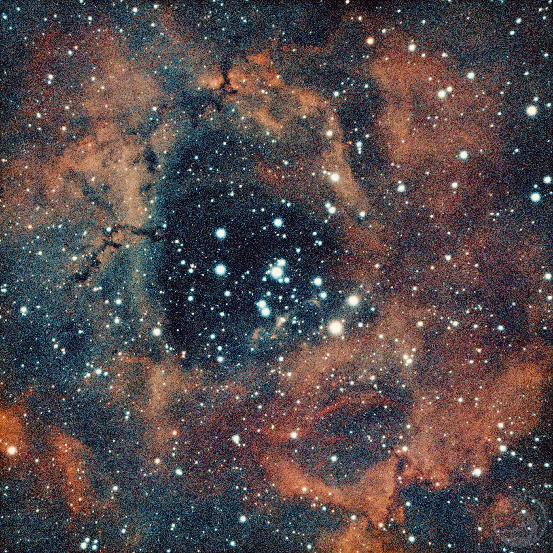 NGC2244玫瑰星云