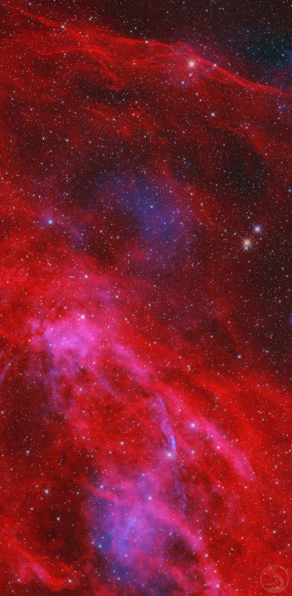 LBN331 with W63