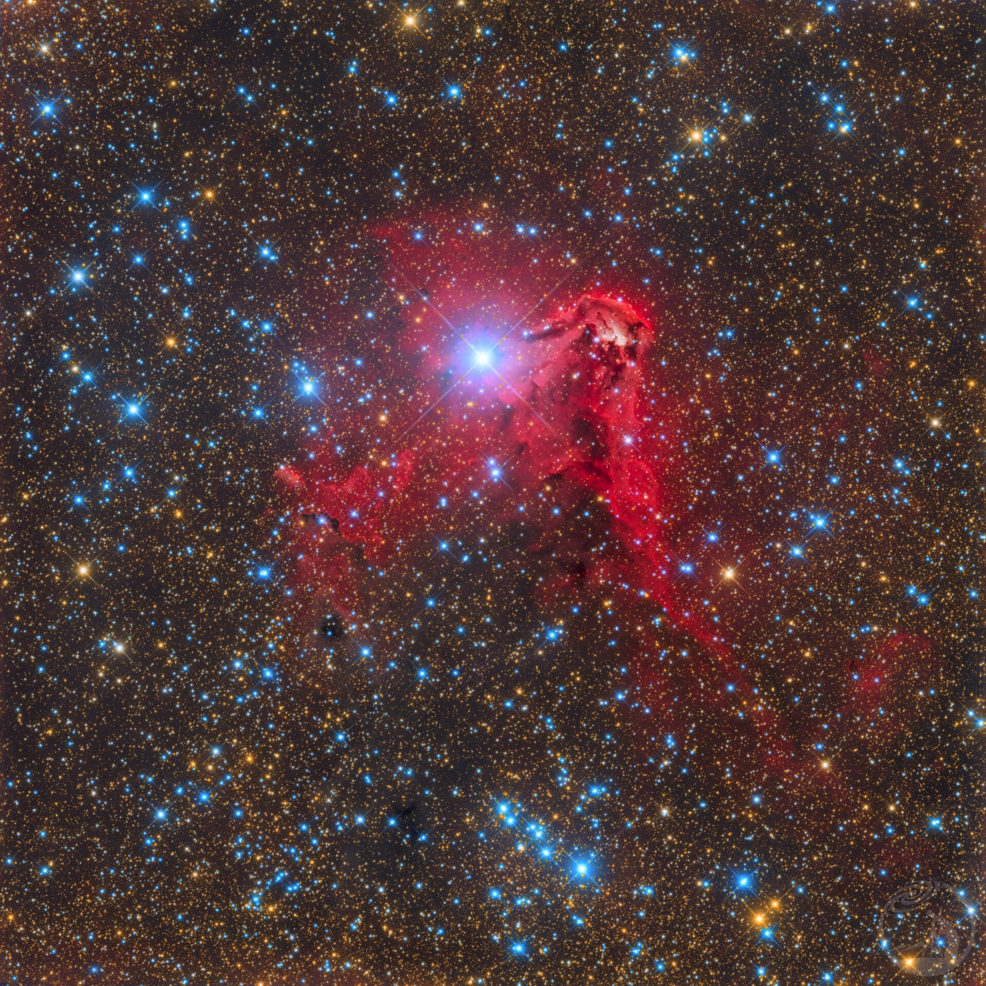 RCW85/宇宙海葵