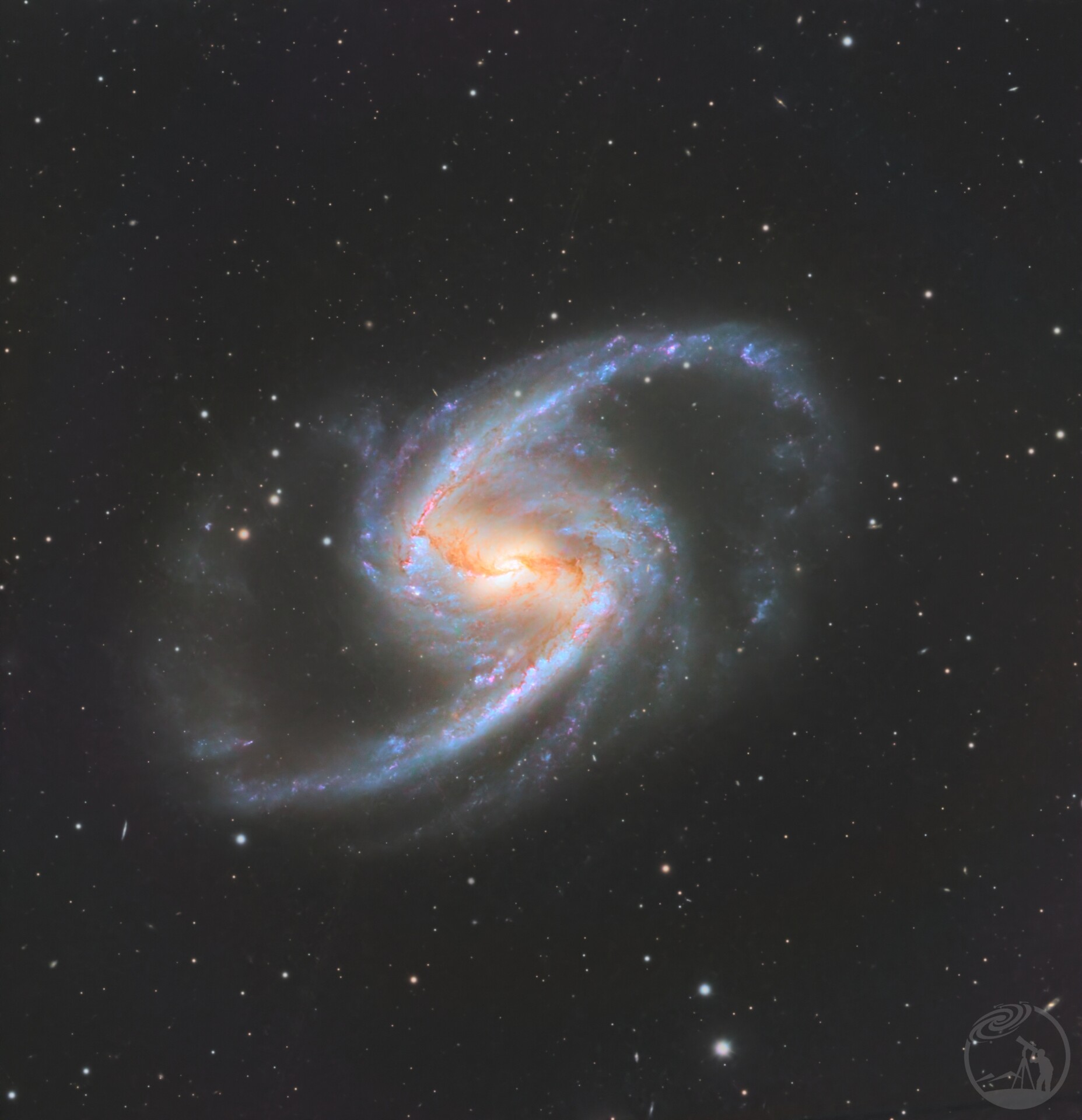 NGC1365