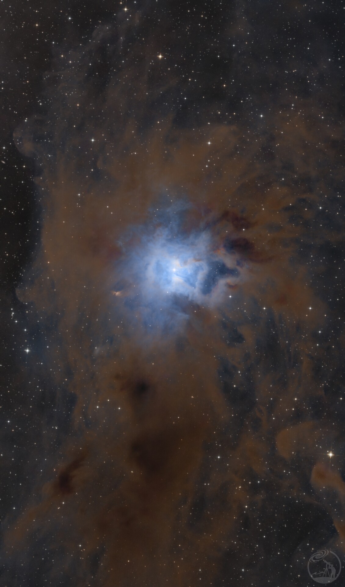 NGC7023