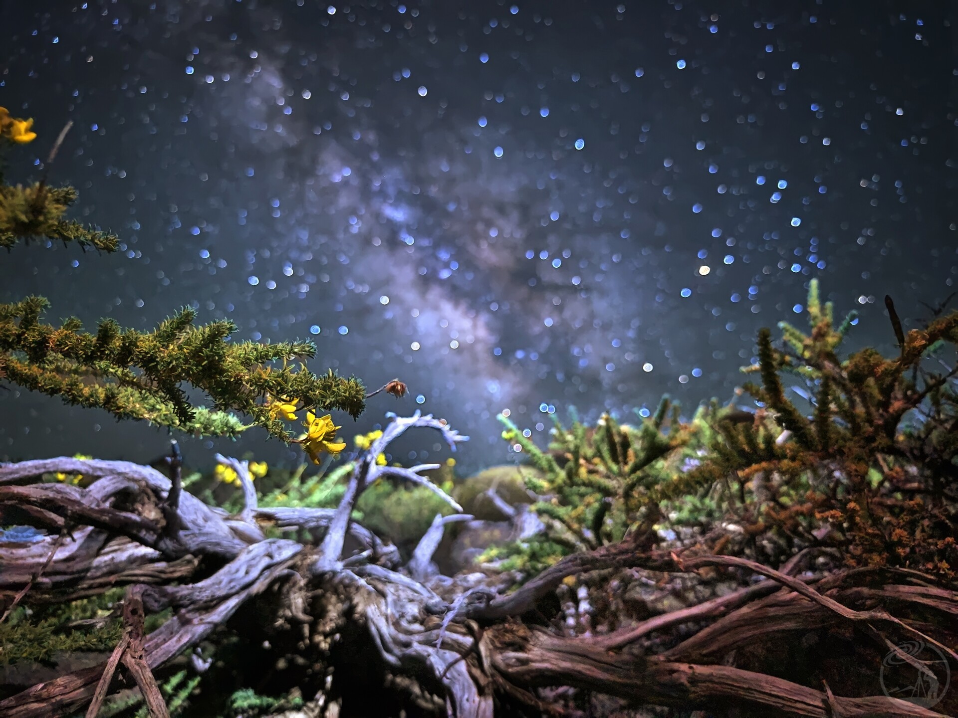 潘多拉星球