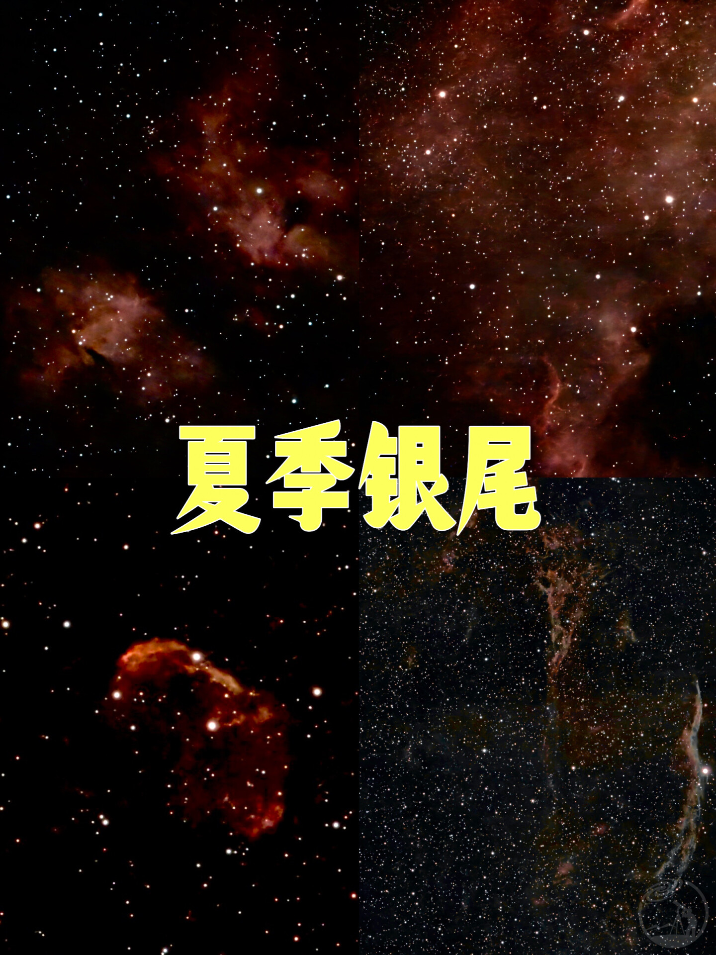 Dwarf3 | 夏季银尾合集